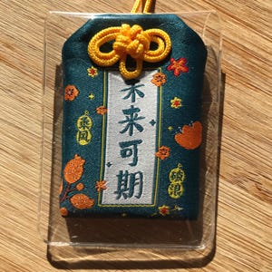 Lucky Charm - Talisman - Hope - Gives hope for the future - Omamori