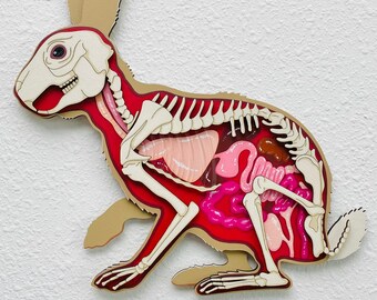 Anatomical Rabbit Original Acrylic Painting | Wood Cut-Out | Laser Cut Wood and Acrylic | Anatomical Horror Art | Science Medical Art