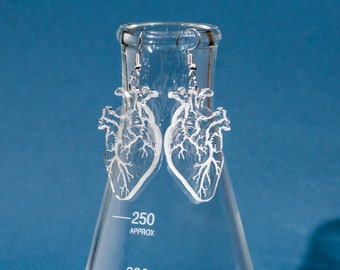 Clear Anatomical Heart Earrings | Anatomical Jewelry | Medical Art | Science Art | Cardiac Nurse Art