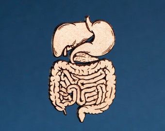 Anatomical Digestive System Pin or Magnet | Laser Cut Wood | Intestines | Stomach | Anatomical Art | Medical Art | Science Art