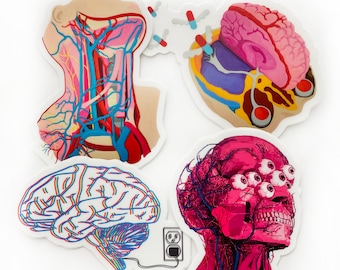 May include: Five colorful anatomical illustrations of the human body. The illustrations include a cross-section of the brain, a cross-section of the neck, a cross-section of the head with multiple eyes, and a cross-section of the brain with a plug and cord.