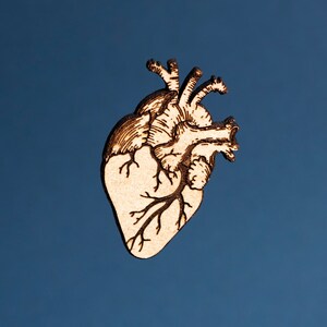 May include: A wooden heart-shaped object with an anatomical illustration of a human heart. The heart is light brown with darker brown etched details, set against a deep blue background. The design includes veins and arteries.