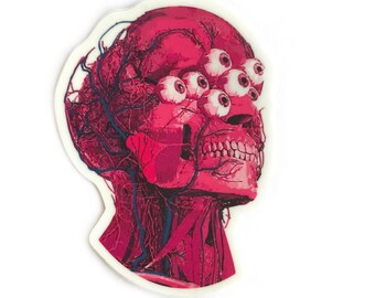 Anatomy Sticker | Vinyl Sticker | Trippy Sticker | De-Fleshed Sticker |