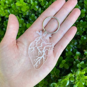 Könnte beinhalten: Ein weißer Acryl-Schlüsselanhänger in Form eines menschlichen Herzens. Das Herz ist mit Adern und Arterien detailliert. Der Schlüsselanhänger ist an einem silbernen Metallring befestigt.