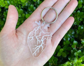 Anatomical Heart Keychain | Clear Acrylic | Medical Keychain | Anatomy Keychain | Cardiac Art
