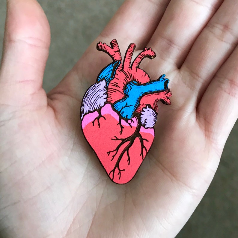 May include: A wooden pin in the shape of a human heart, featuring anatomical details. The heart is primarily red with blue, pink, and purple accents. The pin is held in a person's open palm.