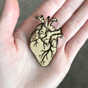 May include: A wooden heart-shaped pin with an anatomical illustration. The pin features a detailed engraving of a human heart, with veins and arteries. The pin is light brown with dark brown etched details.