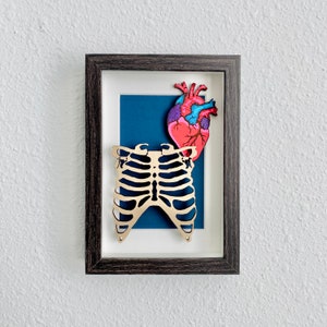 Anatomical Heart & Ribcage Framed Painting | Laser Cut Wood Painting | Original Acrylic Painting | Framed Art | Medical Art | Anatomy Art