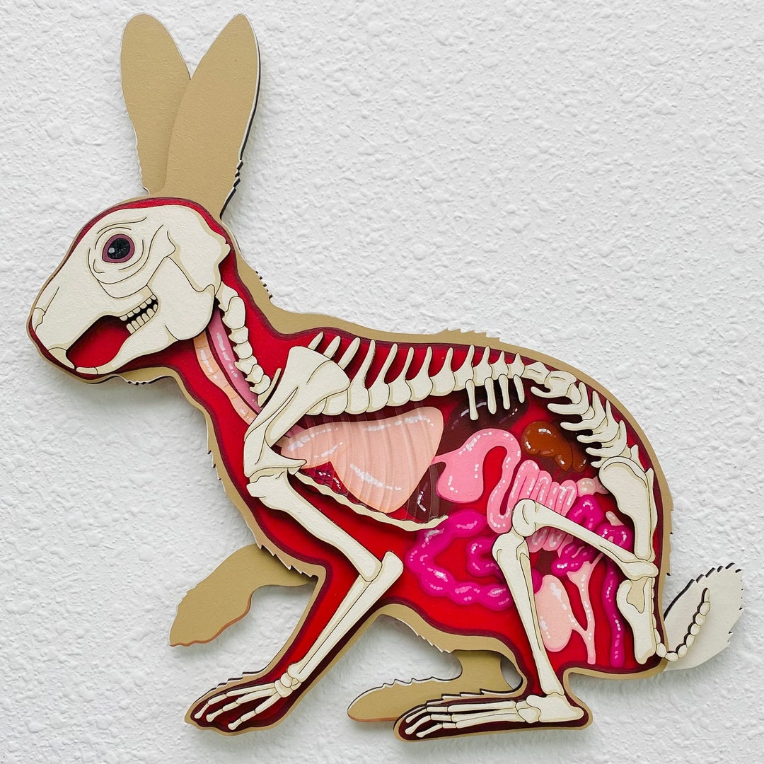 Anatomical Rabbit Original Acrylic Painting | Wood Cut-out | Laser Cut ...