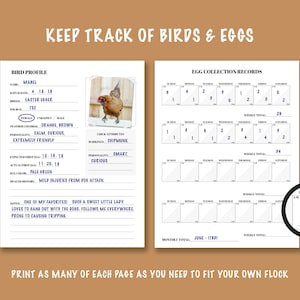 Puede incluir: Registro de seguimiento de aves y huevos imprimible con una secci&oacute;n de perfil de ave y una secci&oacute;n de registro de recolecci&oacute;n de huevos. La secci&oacute;n de perfil de ave incluye una foto de una gallina marr&oacute;n, el nombre del ave, la fecha de nacimiento, la raza, la fuente, el sexo, el color de las plumas, la personalidad, la fecha esperada del primer huevo, la fecha real del primer huevo, el color del huevo y notas de salud. La secci&oacute;n de registro de recolecci&oacute;n de huevos incluye una cuadr&iacute;cula para realizar un seguimiento del n&uacute;mero de huevos recolectados cada d&iacute;a de la semana. La cuadr&iacute;cula est&aacute; etiquetada con los d&iacute;as de la semana e incluye un total semanal y un total mensual. El texto "KEEP TRACK OF BIRDS & EGGS" est&aacute; en la parte superior de la p&aacute;gina. El texto "PRINT AS MANY OF EACH PAGE AS YOU NEED TO FIT YOUR OWN FLOCK" est&aacute; en la parte inferior de la p&aacute;gina.