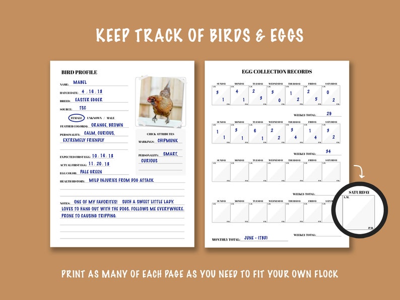 Puede incluir: Registro de seguimiento de aves y huevos imprimible con una secci&oacute;n de perfil de ave y una secci&oacute;n de registro de recolecci&oacute;n de huevos. La secci&oacute;n de perfil de ave incluye una foto de una gallina marr&oacute;n, el nombre del ave, la fecha de nacimiento, la raza, la fuente, el sexo, el color de las plumas, la personalidad, la fecha esperada del primer huevo, la fecha real del primer huevo, el color del huevo y notas de salud. La secci&oacute;n de registro de recolecci&oacute;n de huevos incluye una cuadr&iacute;cula para realizar un seguimiento del n&uacute;mero de huevos recolectados cada d&iacute;a de la semana. La cuadr&iacute;cula est&aacute; etiquetada con los d&iacute;as de la semana e incluye un total semanal y un total mensual. El texto "KEEP TRACK OF BIRDS & EGGS" est&aacute; en la parte superior de la p&aacute;gina. El texto "PRINT AS MANY OF EACH PAGE AS YOU NEED TO FIT YOUR OWN FLOCK" est&aacute; en la parte inferior de la p&aacute;gina.
