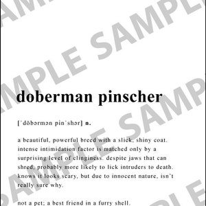 May include: A black and white illustration of a Doberman Pinscher dog breed. The text 'doberman pinscher' is written in bold, black font. The phonetic pronunciation of the word is written in brackets below the word. The text reads: "['d&ouml;bərmən pin'shər] n. a beautiful, powerful breed with a slick, shiny coat. intense intimidation factor is matched only by a surprising level of clinginess. despite jaws that can shred, probably more likely to lick intruders to death. knows it looks scary, but due to innocent nature, isn't really sure why. not a pet; a best friend in a furry shell."
