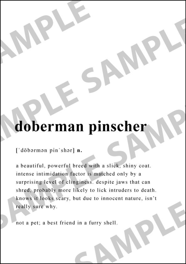 May include: A black and white illustration of a Doberman Pinscher dog breed. The text 'doberman pinscher' is written in bold, black font. The phonetic pronunciation of the word is written in brackets below the word. The text reads: "['d&ouml;bərmən pin'shər] n. a beautiful, powerful breed with a slick, shiny coat. intense intimidation factor is matched only by a surprising level of clinginess. despite jaws that can shred, probably more likely to lick intruders to death. knows it looks scary, but due to innocent nature, isn't really sure why. not a pet; a best friend in a furry shell."