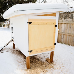 EFFICIENT Chicken Coop Plans | DIY Backyard Hen House | Large 20 Bird Free Range Design | Efficient Minimal Care Permaculture | New Pet