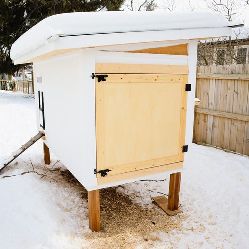 Régimes efficaces pour les poulaillers | Poulailler d'arrière-cour bricolage | Grand modèle de 20 oiseaux en liberté | Permaculture efficace avec un minimum d'entretien | Nouvel animal de compagnie