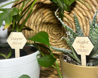 Funny Hexagonal Wooden Plant Stakes, Plant Markers, House Plant Decor, Plant Accessories, Funny Plant Markers, Plant lover gift