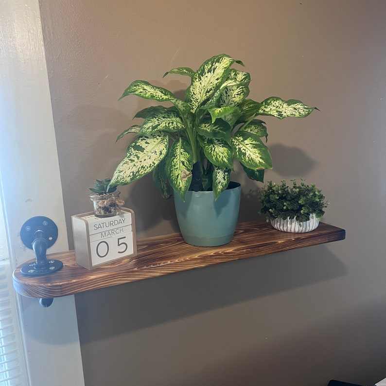 Single Swivel Industrial Pipe Shelf for Window or Wall Plant Etsy