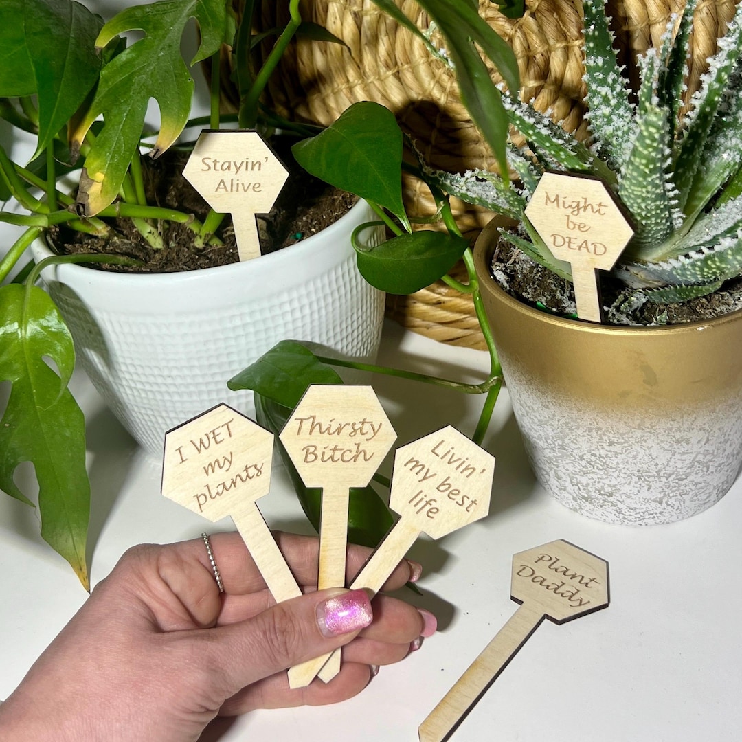 Set of 6 Funny Hexagonal Wooden Plant Stakes, Plant Markers, House
