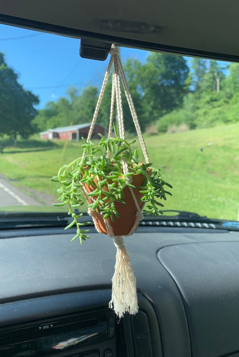 Mini macrame plant hanger for car rear 