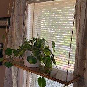 May include: A wooden hanging shelf with a white potted plant, suspended by rope in front of a window. The plant has green and yellow leaves. The shelf is stained a dark brown color.