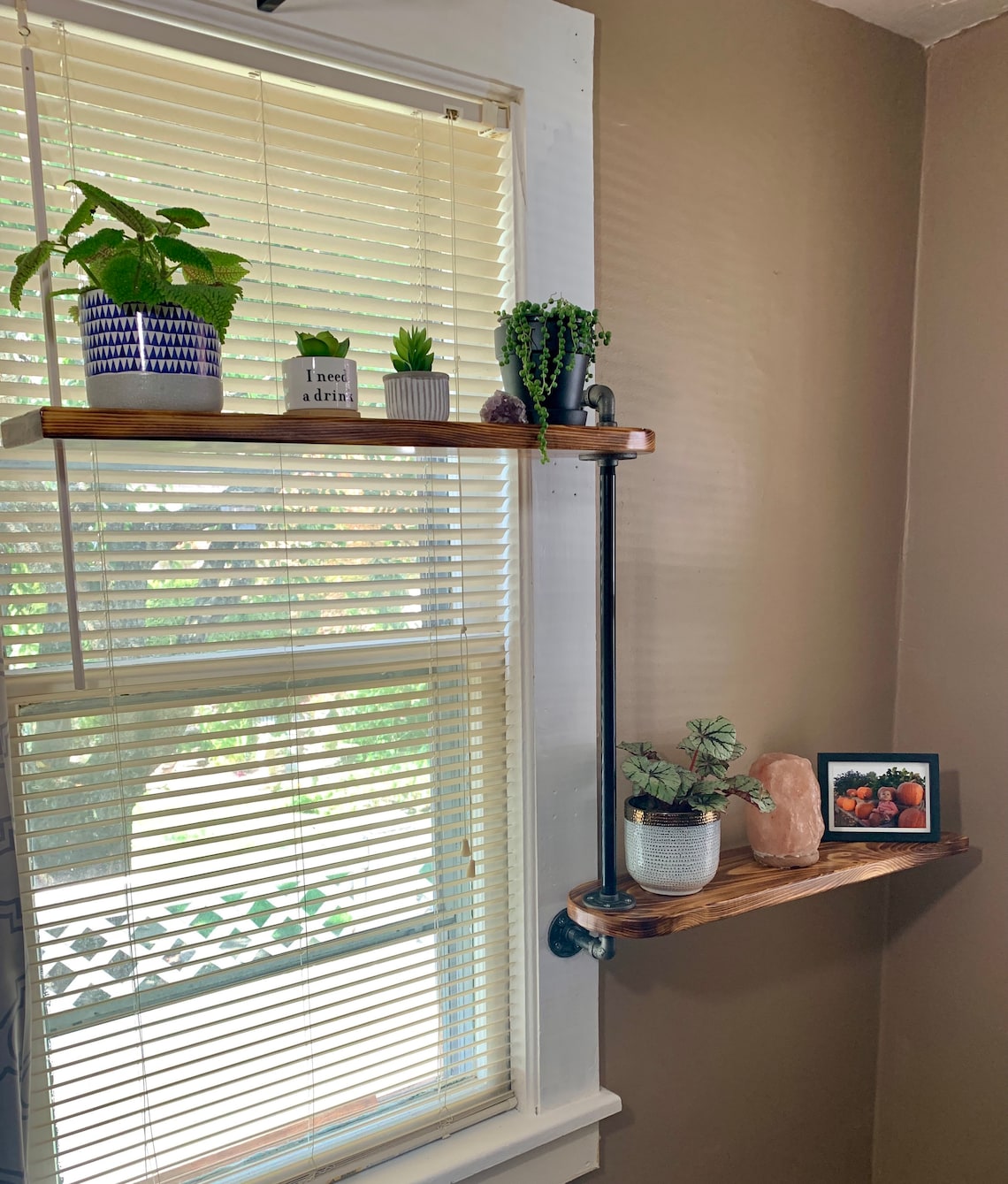 Swivel Industrial Pipe Shelf for Window or Wall Plant Shelf Etsy