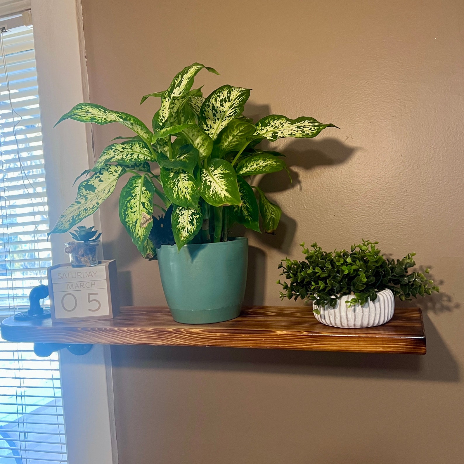 Single Swivel Industrial Pipe Shelf for Window or Wall Plant Etsy Ireland