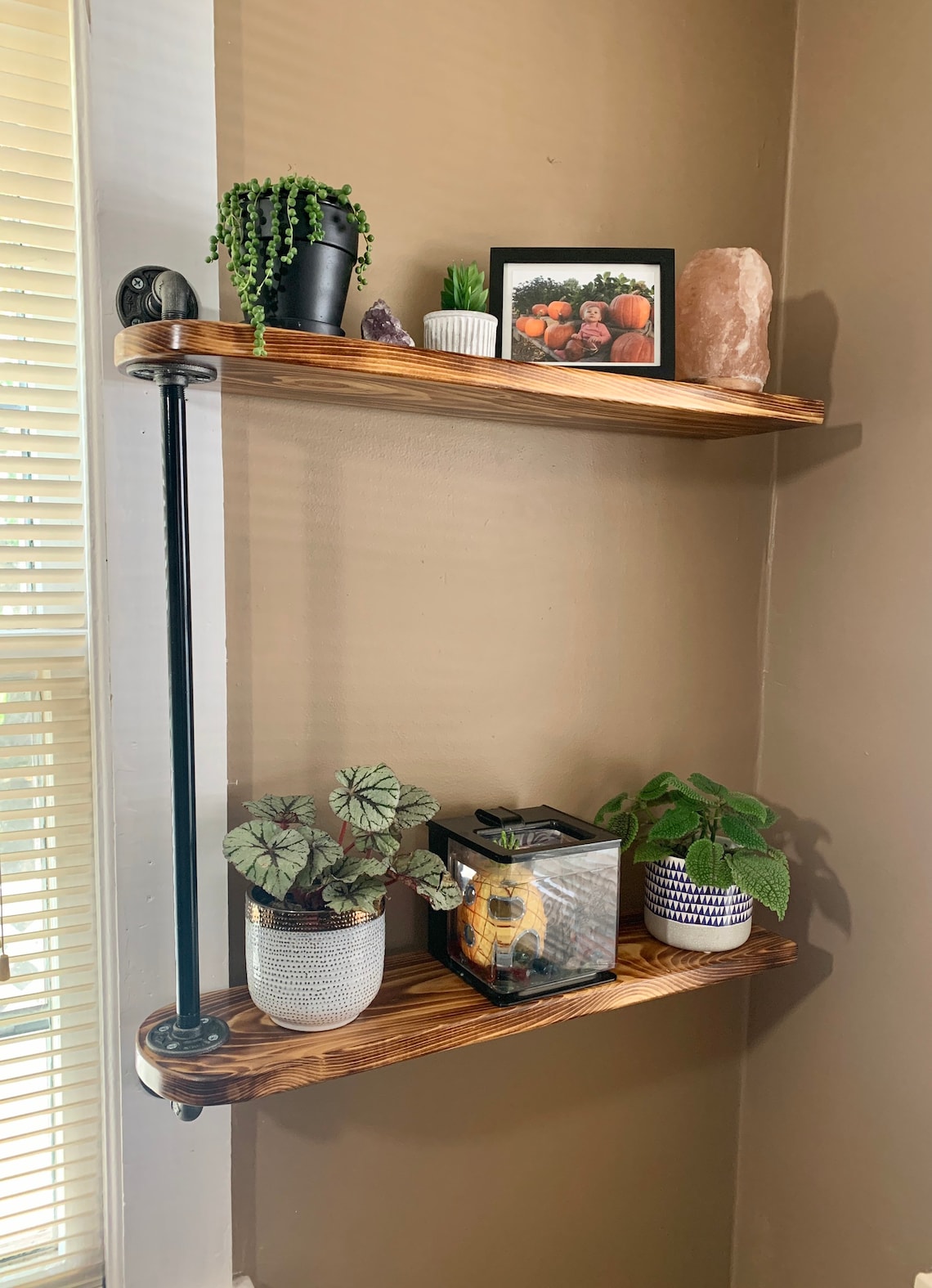 Swivel Industrial Pipe Shelf for Window or Wall Plant Shelf Etsy