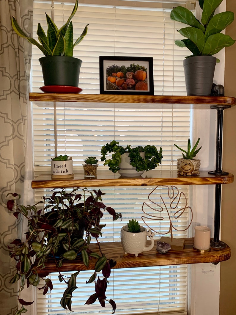 Swivel Industrial Pipe Shelf for Window or Wall 3 Tier Plant Etsy