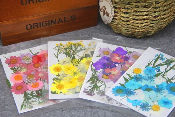 Pressed pink Real Flowers dried flower for women gift ideas 12pcs 102292