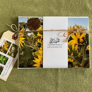 Nature Inspires Notecards