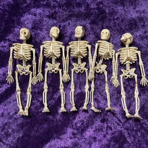 Lot of 6 New Plastic Halloween Cemetery Skeletons 6” Tall