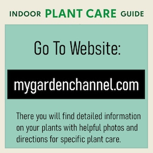 Puede incluir: Un gr&aacute;fico verde azulado y negro con el texto "INDOOR PLANT CARE GUIDE" en la parte superior. El texto "Go To Website:" est&aacute; en negro sobre un fondo verde azulado. La direcci&oacute;n del sitio web "mygardenchannel.com" est&aacute; en blanco sobre un fondo negro. El texto "There you will find detailed information on your plants with helpful photos and directions for specific plant care." est&aacute; en negro sobre un fondo verde azulado.