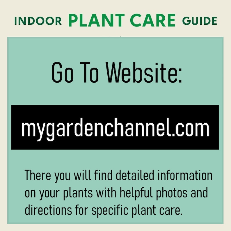 Puede incluir: Un gr&aacute;fico verde azulado y negro con el texto "INDOOR PLANT CARE GUIDE" en la parte superior. El texto "Go To Website:" est&aacute; en negro sobre un fondo verde azulado. La direcci&oacute;n del sitio web "mygardenchannel.com" est&aacute; en blanco sobre un fondo negro. El texto "There you will find detailed information on your plants with helpful photos and directions for specific plant care." est&aacute; en negro sobre un fondo verde azulado.