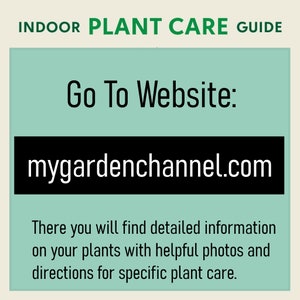 May include: A guide for indoor plant care with the text "INDOOR PLANT CARE GUIDE". The text "Go To Website: mygardenchannel.com" is displayed on a light green background. The text below states "There you will find detailed information on your plants with helpful photos and directions for specific plant care."