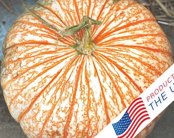 Rare Pumpkin One Too Many Gourd Non GMO Heirloom Vegetable Seeds for planting Fancy Decor