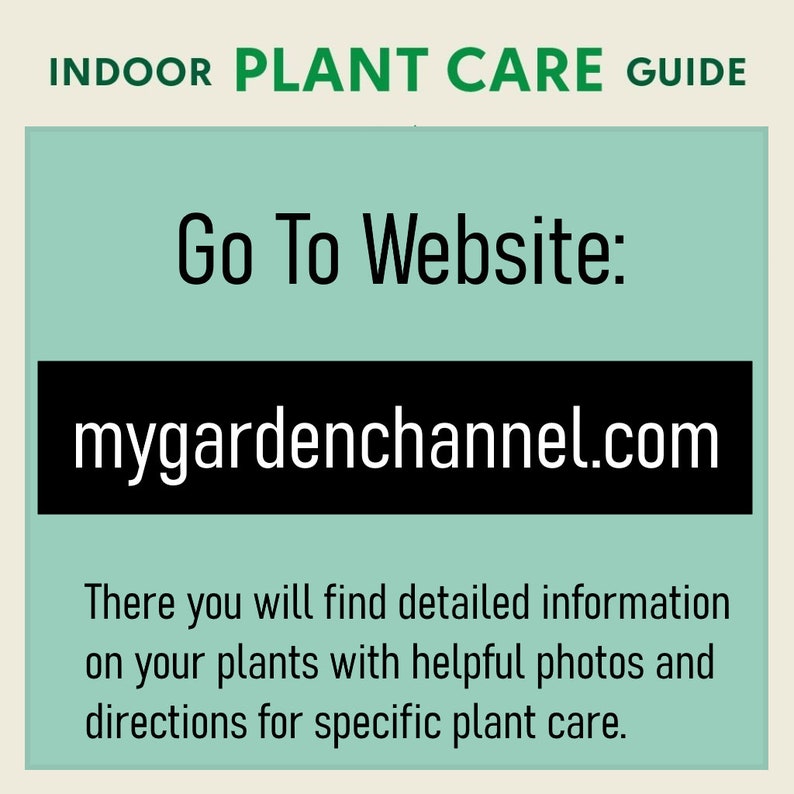 K&ouml;nnte beinhalten: Ein Ratgeber f&uuml;r die Pflege von Zimmerpflanzen mit dem Text "INDOOR PLANT CARE GUIDE". Der Text "Go To Website: mygardenchannel.com" wird auf hellgr&uuml;nem Hintergrund angezeigt. Der Text "There you will find detailed information on your plants with helpful photos and directions for specific plant care" wird ebenfalls angezeigt.