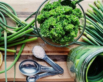 Organic Fresh Garlic Scapes Greens Herb Spices for Table Cuisine | Freeze Dry | Pesto