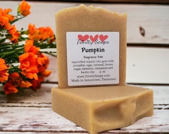 Organic Pumpkin Goat Milk Soap, Homemade Natural Bath Bars, Hand Made The Old Fashioned Way, Handmade Cold Process, Facial and Body Bar