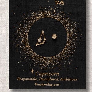 Capricorn Sign Constellation Earrings with Crystals, Celestial Jewelry, Zodiac Sign Studs, Capricorn Star Dainty Mismatched  Stud Earrings