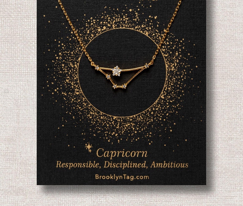 Capricorn Sign Constellation Necklace with Crystals, Celestial Jewelry Zodiac Sign Necklace, Star Dainty Necklace, Bridesmaids Gift, Zodiacs image 2