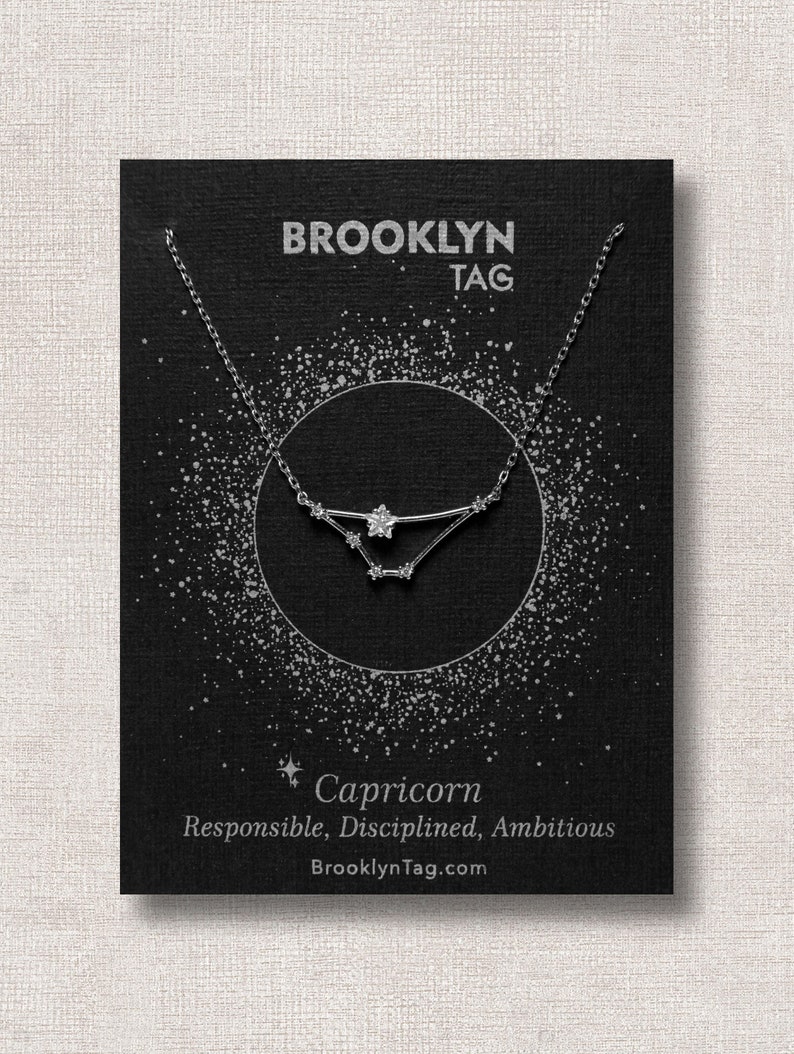 Capricorn Sign Constellation Necklace with Crystals, Celestial Jewelry Zodiac Sign Necklace, Star Dainty Necklace, Bridesmaids Gift, Zodiacs Silver