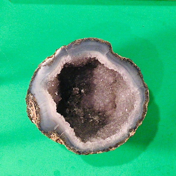 Willamette Valley Polished? Half THUNDER EGG GEODE from Oregon - Giftable