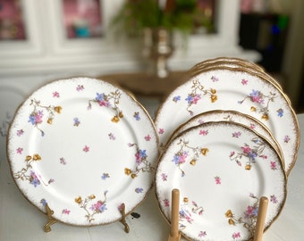 Vintage Royal Standard Veilchen Pompadour China. Luncheon Teller, Veilchen Pompadour Teller, Dessert Teller, 1940, 7 Platten