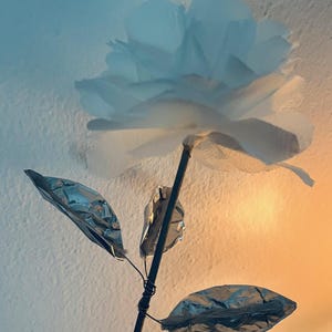 fiore