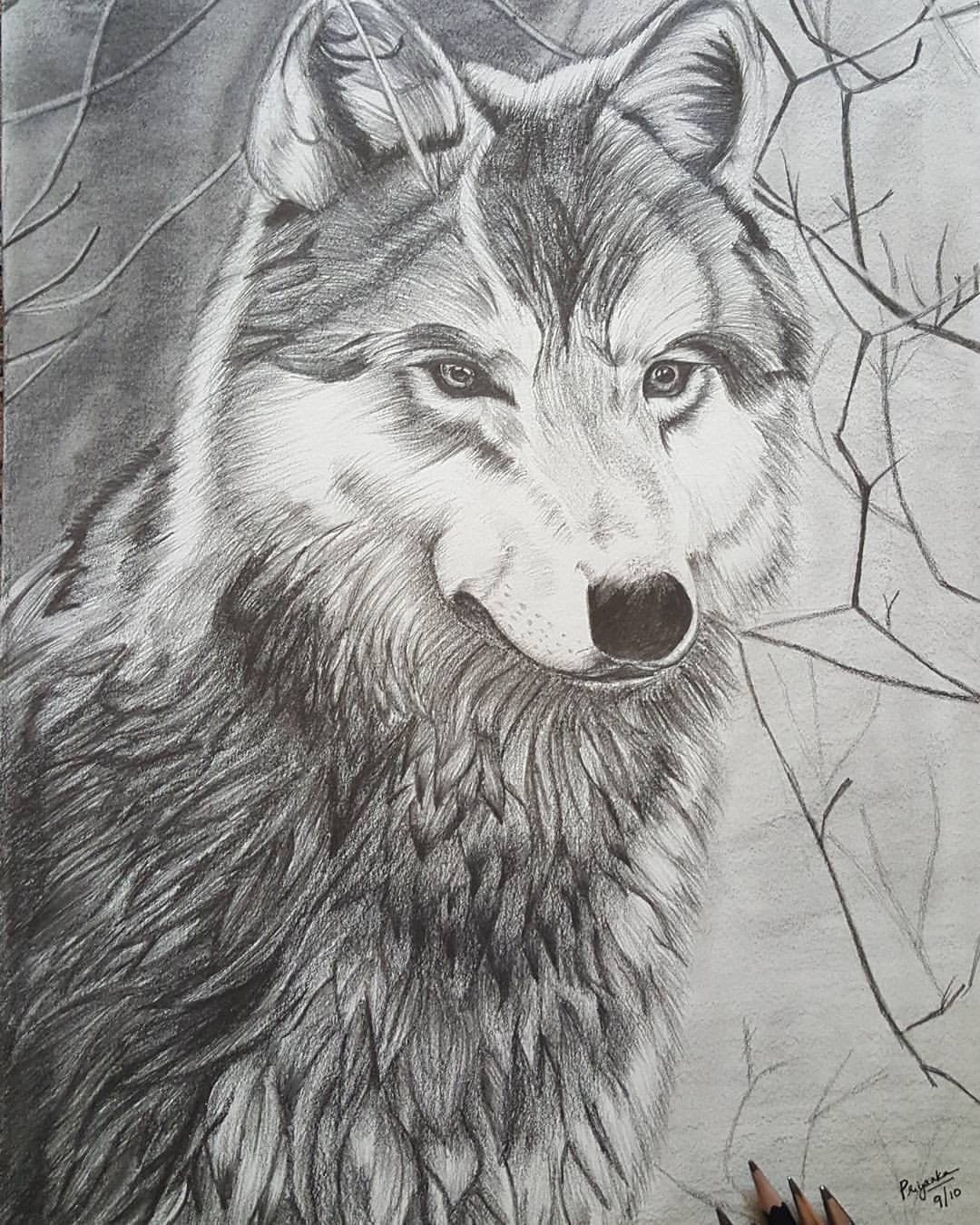 The lone wolf pencil sketch pencil artwolf pencil art wolf wall decor wolf wall hanging animal art animal gift ideas wolf framewolf