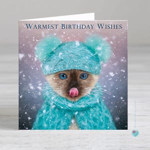 Carte de voeux d'anniversaire les plus chaleureuses - carte d'anniversaire drôle de chat - image d'un chat portant un bonnet à pompon bleu et une écharpe - Ajoutez un message personnalisé à l'intérieur