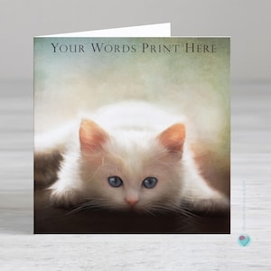 Carte chat ragdoll - carte personnalisée chaton pour toutes les occasions - carte d'anniversaire personnalisée pour amoureux des chats - carte de rétablissement pour elle ou lui