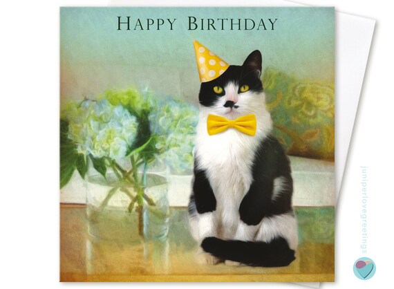 Tuxedo Cat Birthday Card Happy Birthday Black And White Kitten Etsy