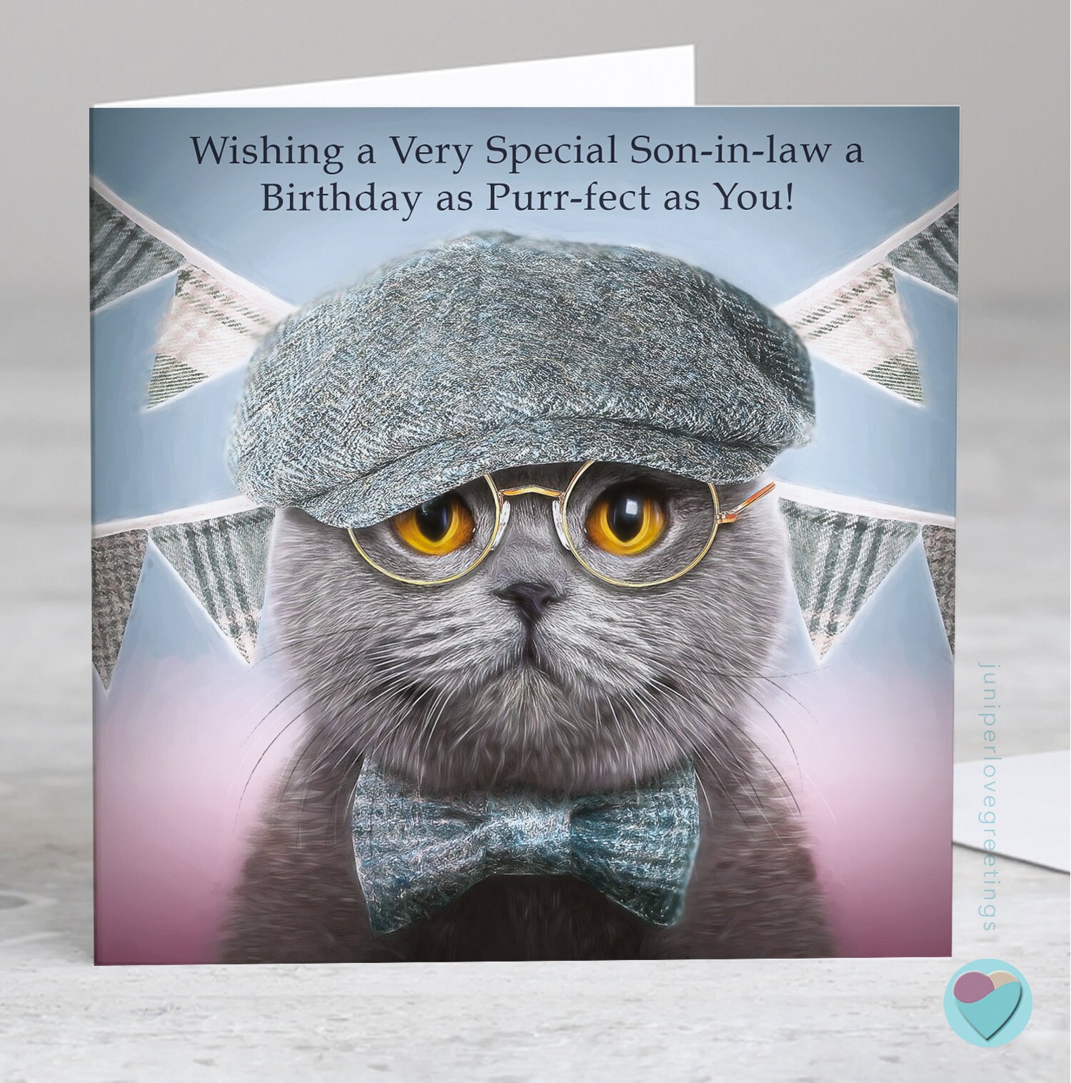 Grey Grumpy Cat In A Hat Birthday Greeting Card, image size:1500x1516