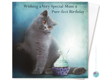 Mum birthday card Wishing a Very Special Mum a Purr-fect Birthday to or from British Shorthair Blue cat Kitten lover by Juniperlove UK